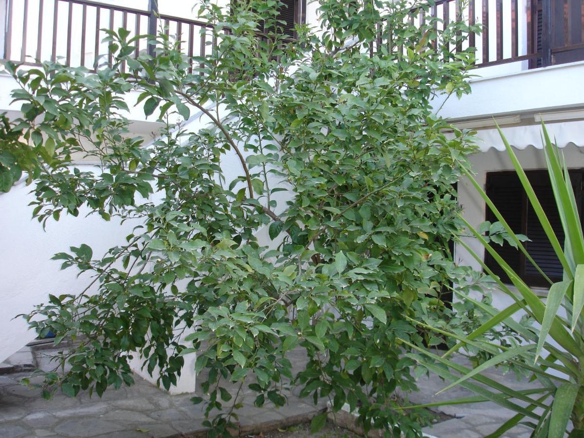 Dionysus-Mihanicus Ierissos Eksteriør billede